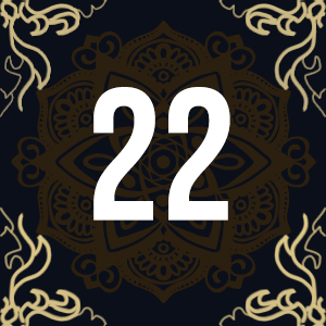 Meaning of Number 22